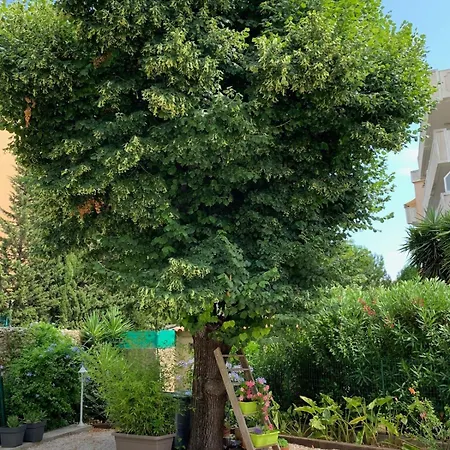 公寓 Maison Centre Climatisee 2 Terrasse